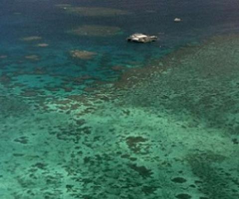 Agincourt Reef, located about 30 miles off the coast near the northern reaches of the Great Barrier Reef. Credit - AP Photo/Randy Bergman, File