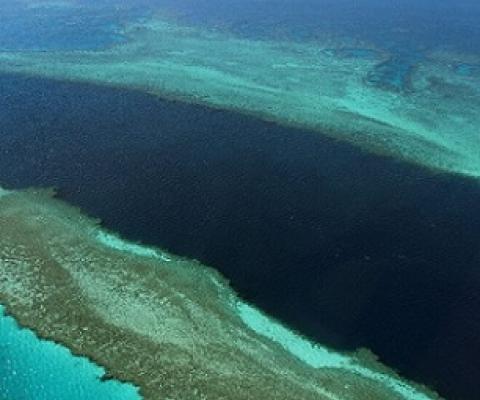 The Great Barrier Reef is the world's largest living structure. Credit - www.phys.org