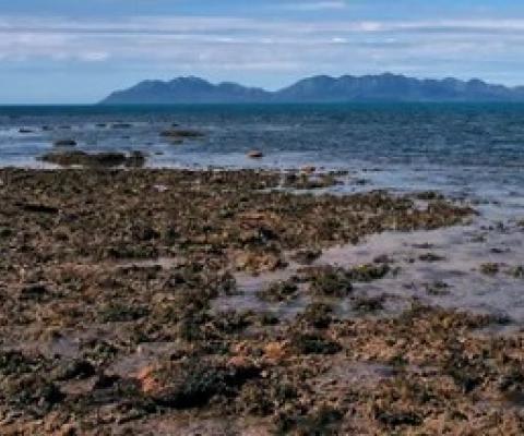 A 2012 photo depicting reef flats around Stone Island. Dr Tara Clark says an IPA film misrepresents her study of coral on the Great Barrier Reef. Photograph: Hannah Markham
