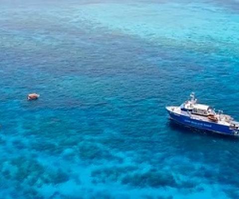 More than 100 coral reef scientists took part in the feasibility study. Nick Thake/AIMS, Author provided