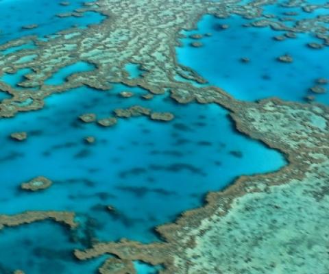 Great Barrier Reef, Australia. source - https://www.zmescience.com/