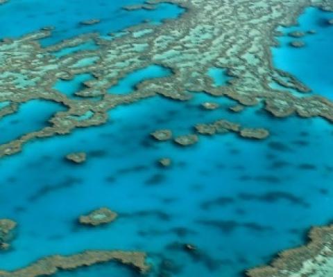 Great Barrier Reef, Australia. source - https://www.zmescience.com