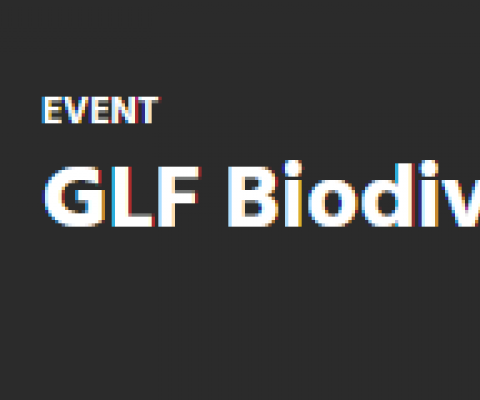 GLF logo