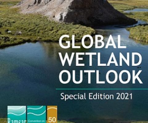 Global Wetland Outlook, Special Edition 2021. Credit - Ramsar Convention Secretariat
