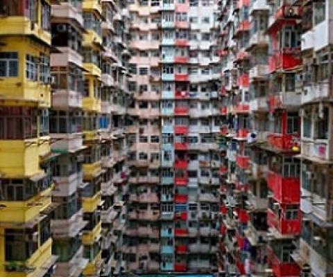 It's time environmentalists talked about the population problem. Credit - Shutterstock