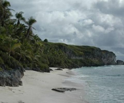 Henderson Island. Credit - https://whc.unesco.org/