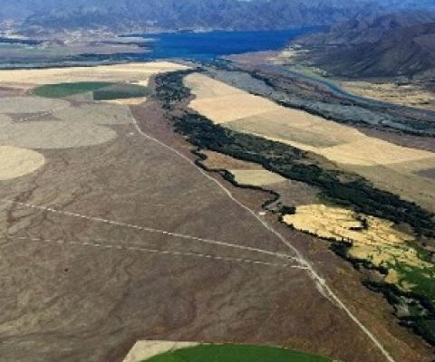 Cleared circles of land at Bendrose Farm, formerly a crown pastoral lease near Twizel, show the greening of the Mackenzie Basin in progress, Forest & Bird says. Photo - supplied