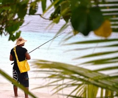 In Samoa, villages can set up and enforce marine protected areas. Simon_sees/Flicker, CC BY-SA