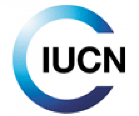 IUCN logo. credit - IUCN