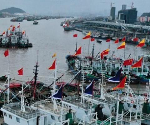 The national security imperative to tackle illegal, unreported, and unregulated fishing. Source - https://www.brookings.edu/