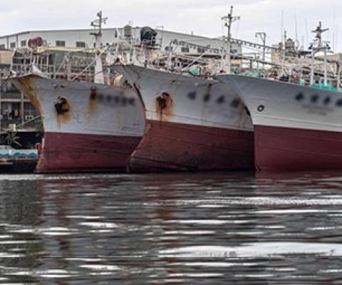 China assigns first on-board observers to distant-water fishing vessel. Credit - www.seafoodsource.com