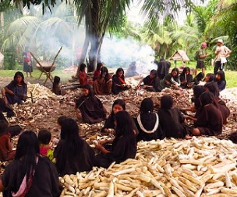 Ashaninka women peel manioc in their village of Apiwtxa in 2017. Image by Maria Fernanda Ribeiro.