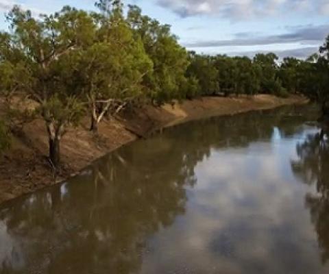 Griffith University researchers say the amount of water held by Indigenous organisations has fallen by 17% over 10 years. The Darling Barka river at Louth after the arrival of a flow of water from upstream. Photograph: Jenny Evans/Getty Images
