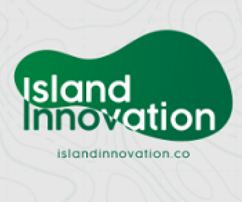 Island Responses Webinar Series - Islands and the COVID-19 Pandemic