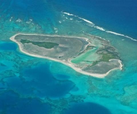 The study suggests that the island is built from sediment generated by the surrounding coral reef, such as from crushed up dead coral, weathered shells and dried-up microorganisms. (Dan Polhemus/U.S. Fish and Wildlife Service via Flickr under CC BY-NC 2.0)
