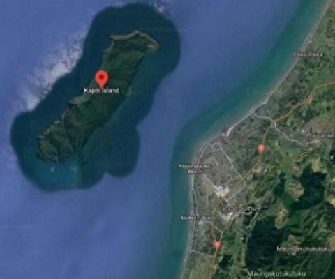 Kapiti Island, New Zealand. Credit - Google Maps