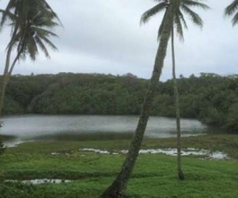 Lake Te Roto on Atiu where evidence was found of the arrival of early humans. Credit: University of Southampton