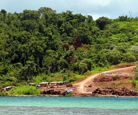 A logging base in Munda, Western province. Source - https://www.solomonstarnews.com/