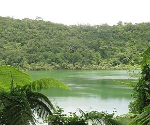 Lake Lanoto'o national park, Samoa. Credit - V. Jungblut