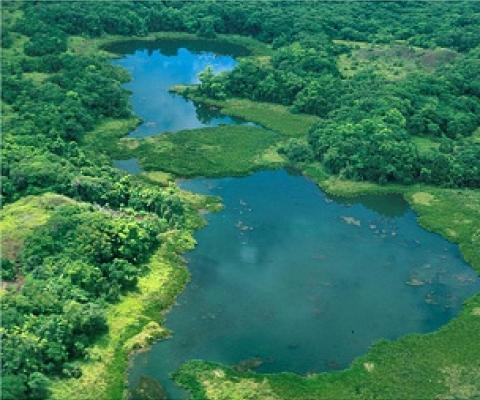 Lake Ngardok Nature Reserve, Palau. Credit - C. Joseph