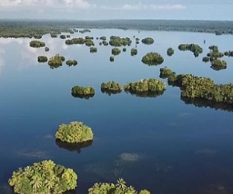 Lake Tegano, Rennell, Solomon Islands. credit - https://www.solomonstarnews.com/