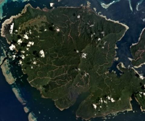 Tree cover loss data from the University of Maryland indicate most of the logging roads on Vanikoro were cleared in 2017. Since then, satellite imagery shows logging efforts expanded in the southern part of the island near Peau in 2019 and at several sites in Vanikoro’s northern half in 2020. Credit - Mongabay.com