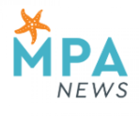 MPAs, COVID-19, and the coming financial crisis: What impacts are practitioners already seeing, and how are they responding?