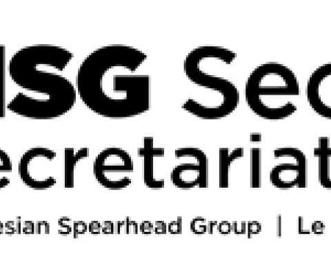 MSG Secretariat logo