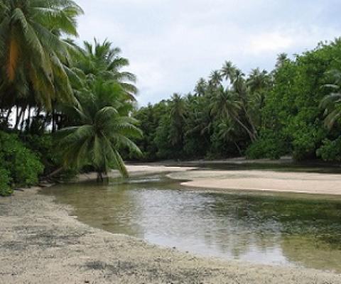 Madmad Island, Namdrik Atoll, Marshall Islands. Credit - V. Jungblut