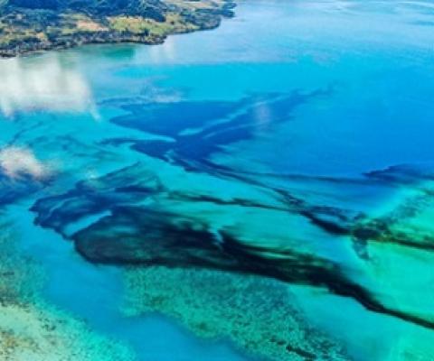 Around 1,000 tonnes of oil have leaked from the MV Wakashio off Mauritius since 6 August.Credit: Pierre Dalais/EPA-EFE/Shutterstock