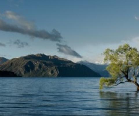 Microsoft is building a ‘Planetary Computer’ to preserve biodiversity around the world