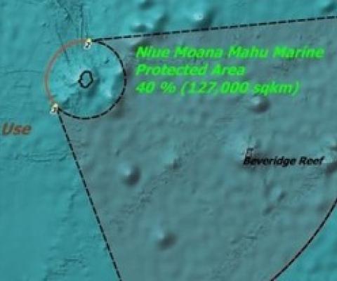 Niue formalises one of largest marine reserves in world