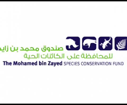Mohamed bin Zayed Species Conservation Fund logo. Credit - speciesconservation.org
