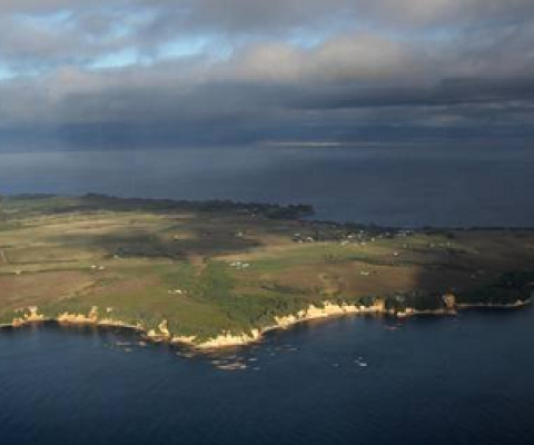Motiti Island, off the Bay of Plenty coast. Photo / File