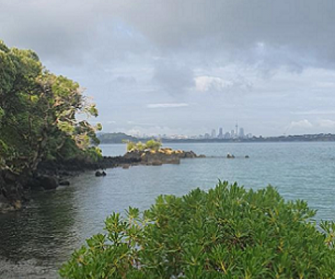 Motutapu Island is having a tough run with four stoat invasions in one year. Photo: Lotte Van Den Hout