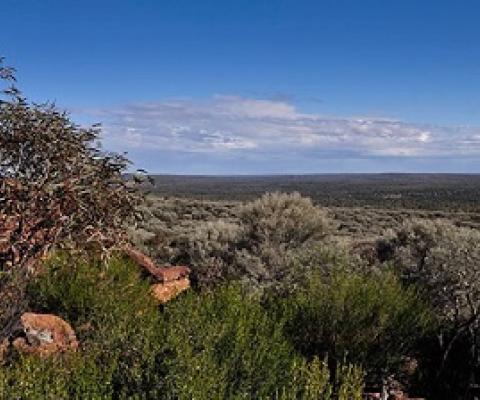 Art site walk, Mount Grenfell Historic Site. Credit - Jenna Hore