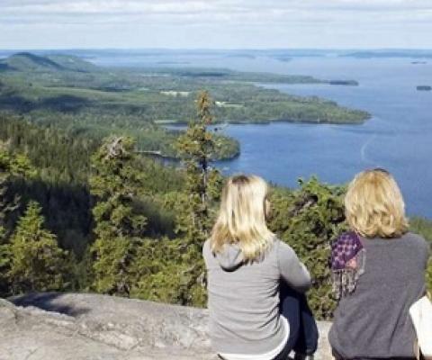 The concept of sustainable nature tourism has played a key role in mediating conflicts between tourism and nature conservation in Koli National Park, Finland. Credit: UEF / Varpu Heiskanen