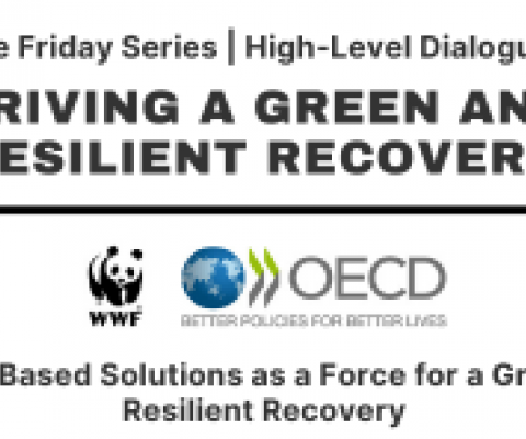 Webinar - Nature-Based Solutions as a Force for a Green and Resilient Recovery