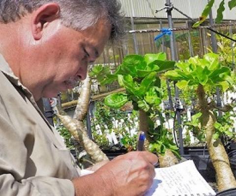 Photo: Mike Demotta is the curator for living collections at Hawaii's National Tropical Botanical Garden. Credit: ILO Photo/John Isaac