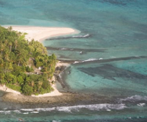 Seabed mining in the Pacific has become a controversial topic - but New Zealand is willing to support nations who want to mine if they ask for support. File photo: Getty Images