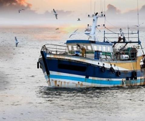 Fishing boat (file picture). Source: istock.com
