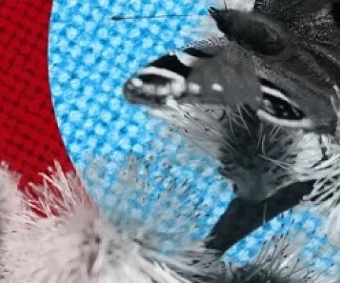 After decades of relentlessly increasing pressure, the human footprint on the earth has suddenly lightened. Composite: Slávek Růta/Rex/Shutterstock