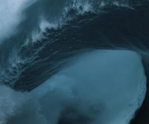  Jason Momoa is The Wave. Credit - Conservation International