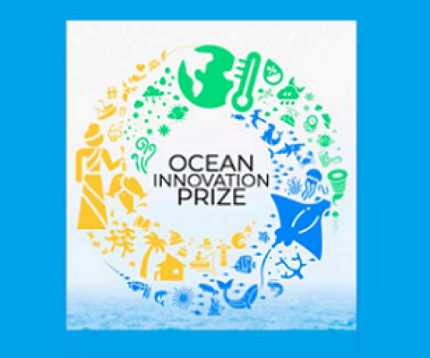 Ocean Unnivation Prize logo. source - www.blueclimateinitiative.org