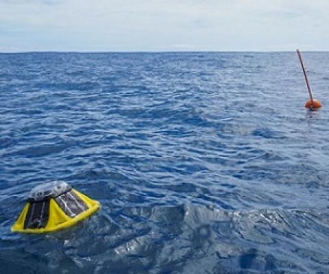 The marine monitoring equipment is located east of Avarua harbour approximately 300 metres from the reef. SUPPLIED/21043042