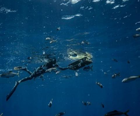 Credit - https://www.vice.com/