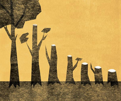 logging illustration. Credit - Ben Sanders