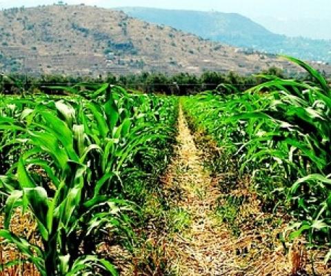 Protected areas vulnerable to growing emphasis on food security. Credit - https://www.theanchor.co.zw/
