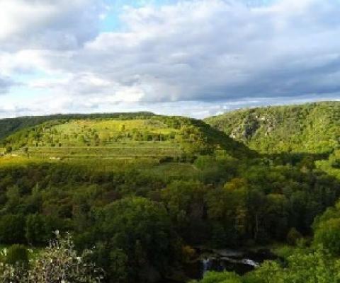 Scientists reveal urgent solutions for boosting Protected Areas effectiveness. Credit - CC0 Public Domain