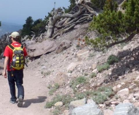 There's a hefty economic value to getting outdoors in national parks and other protected areas when it comes to mental healthcare/Kurt Repanshek file